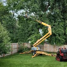  East Renton Highlands, WA Tree Care Pros