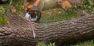 Landscape Design and Installation in East Renton Highlands, WA